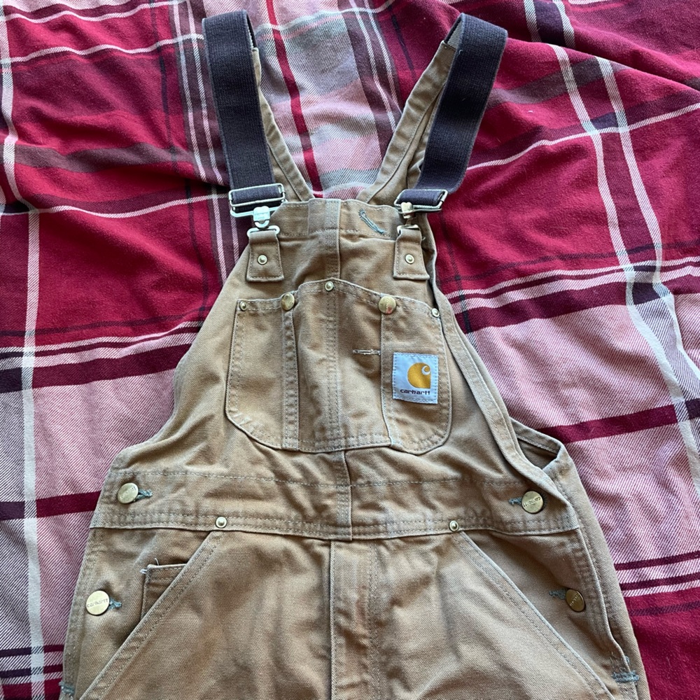 Men’s carhartt overalls